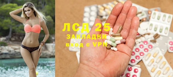 сатива Арсеньев