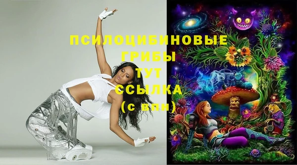 сатива Арсеньев