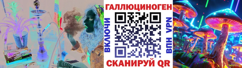 купить наркоту  Сретенск  Псилоцибиновые грибы GOLDEN TEACHER 